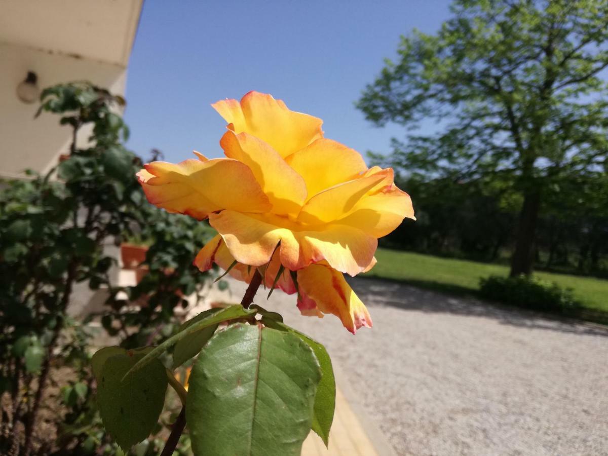 B&B Villa Napoli Bed & Breakfast *