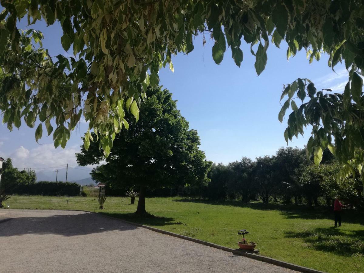 B&B Villa Napoli Bed & Breakfast *