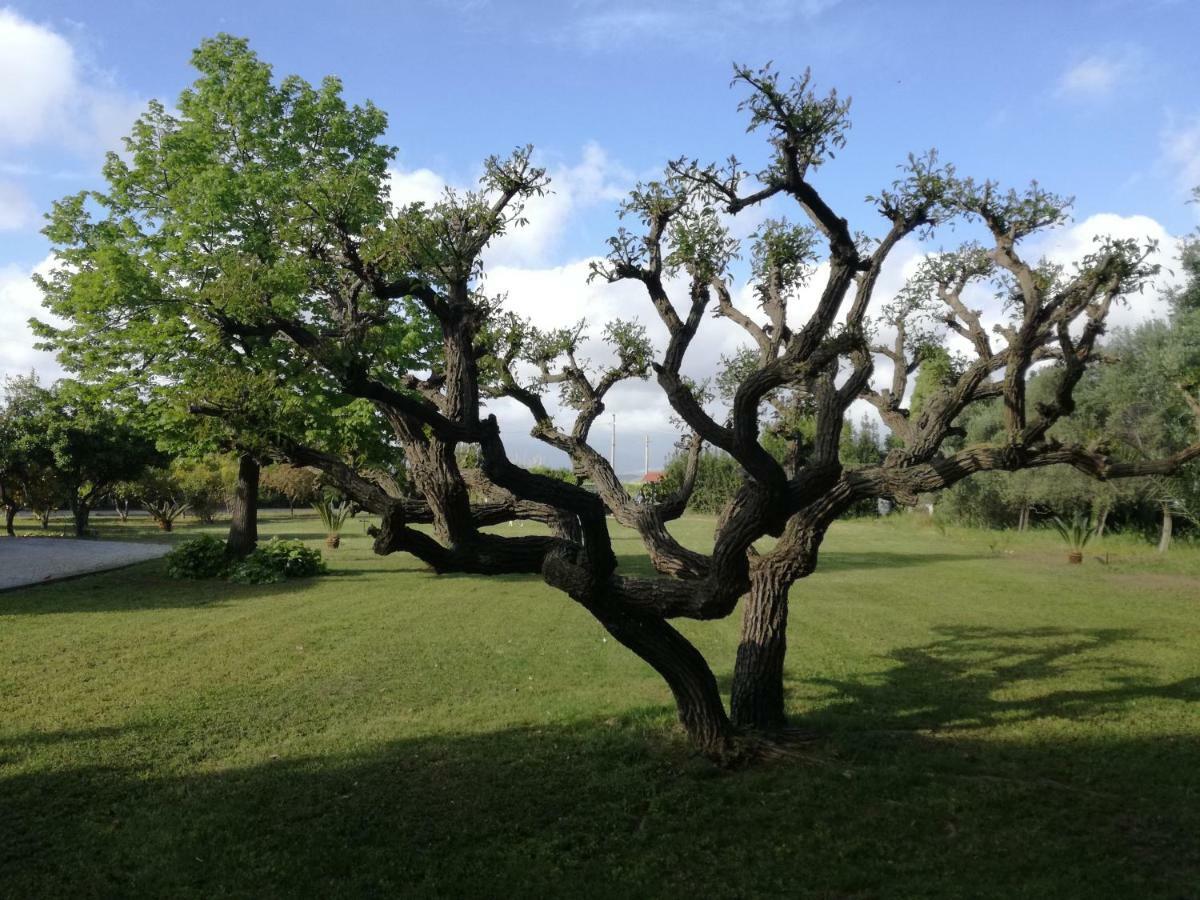 B&B Villa Napoli *