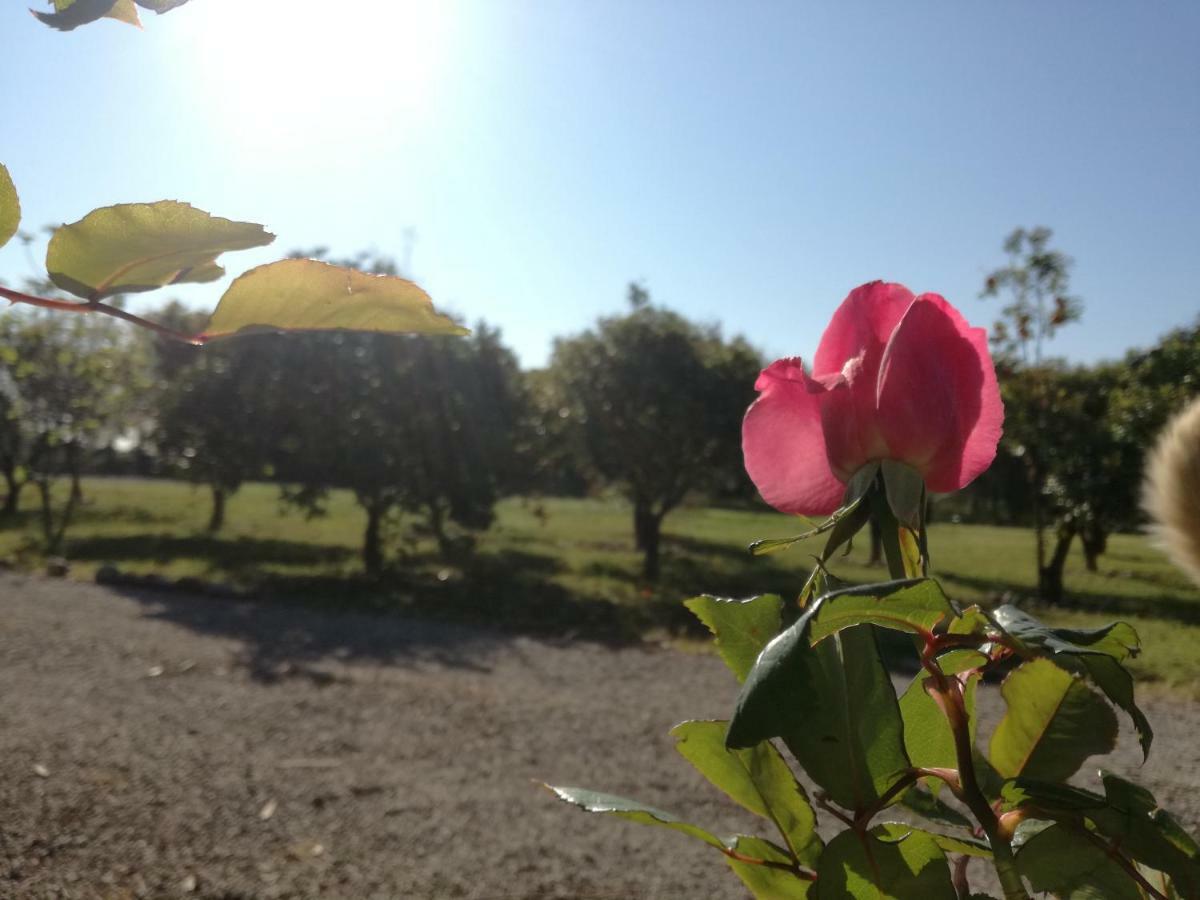 B&B Villa Napoli Bed & Breakfast *